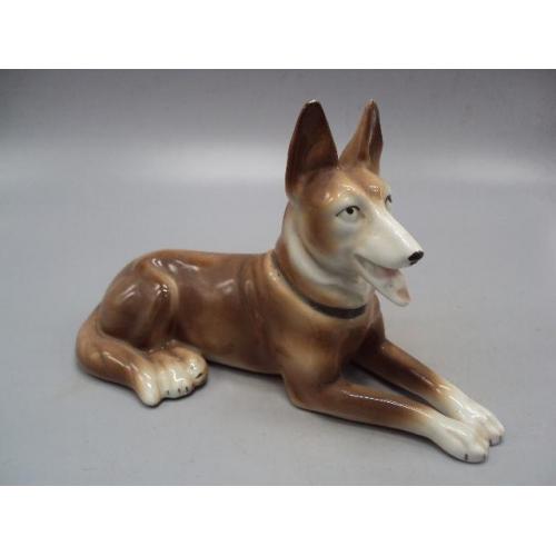 Фигура фарфор статуэтка Германия собака овчарка собачка высота 13,7 см, длина 21,4см скольчик №13993