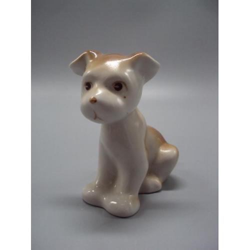 Фигура фарфор статуэтка Полонное ЗХК собака щенок собачка высота 8,4 см №15506