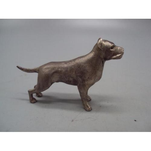 Фигура серебро собака борцовская американский стаффордширский терьер собачка вес 97,27 г 4,6 см №22