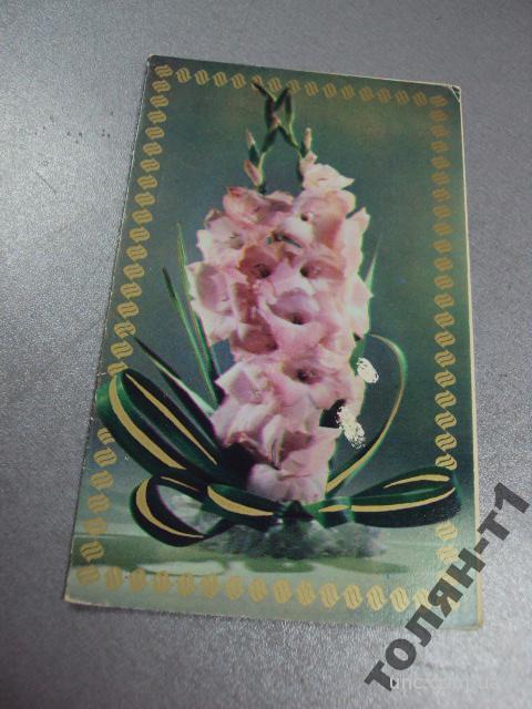 открытка фотокомпозиция цветы левянта №15612