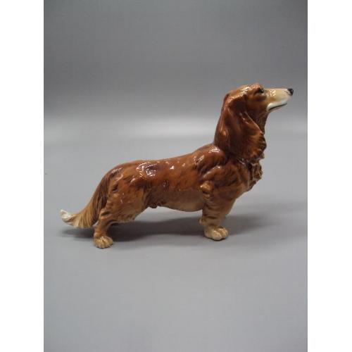 Фигура фарфор статуэтка Германия Карл Энс собака такса собачка Karl Ens размер 15,5 х 24,5 см №14254
