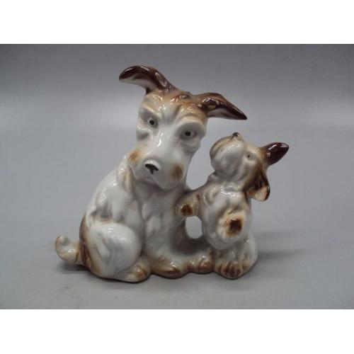 Фигура фарфор статуэтка Германия собаки порода терьер собачки щенки высота 10 см №14200