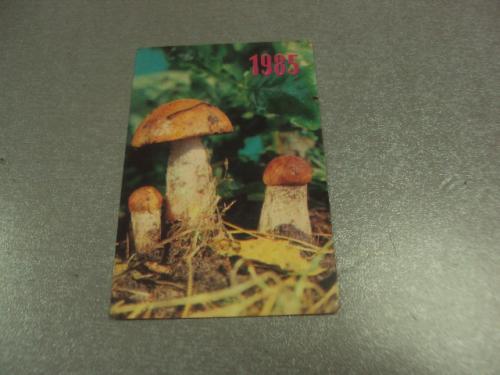 календарик 1985 грибы фото смородский №6292