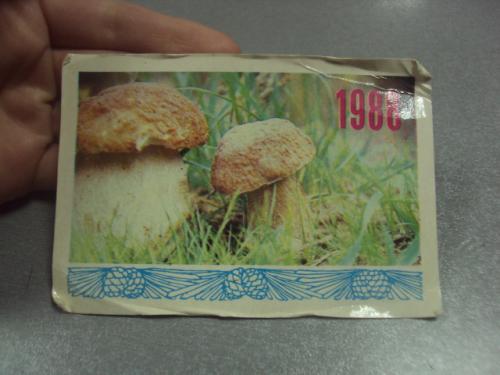 календарик 1988 грибы фото коваленко №6291