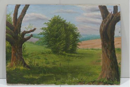 Картина Гащук м.Бар. Пейзаж Деревья. Масло картон. 1989 г 48,5х34,5 см №127