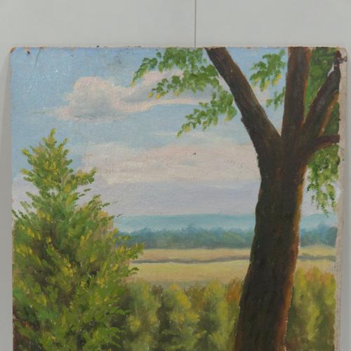 Картина Гащук м.Бар. Пейзаж. Дерево . Картон, масло 34х48,4 см №129