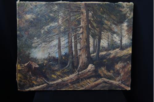 Картина Пейзаж лес, деревья, подписная F.S. Холст масло 65,5 х 50 см №220