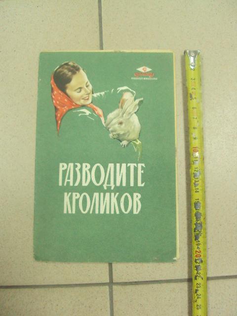 книга альбом разводите кроликов 1961 салапина №13356м