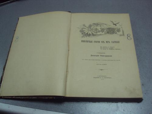 книга кайгородов популярные очерки из мира растений 1912 издание суворина №183
