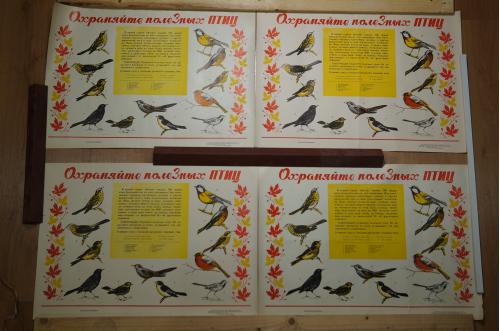 комплект плакатов охраняйте полезных птиц ярмолинцы 1976 лот 4 шт №8007