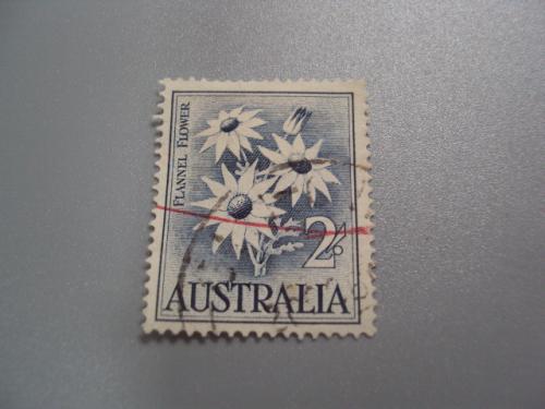 марка Австралия 1959 Флора Растения Цветы ромашки стандарт гаш №2290