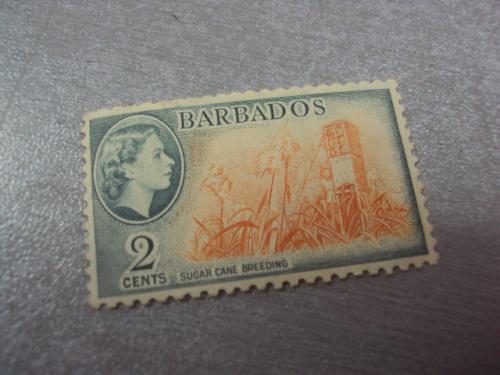 марка Барбадос 1953 королева культура №267