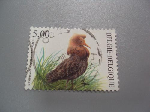 марка Бельгия 2002 фауна птицы гаш №2167
