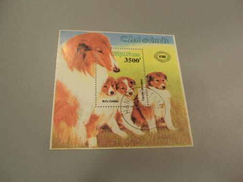 марка блок Вьетнам 1990 собаки колли гаш №1419