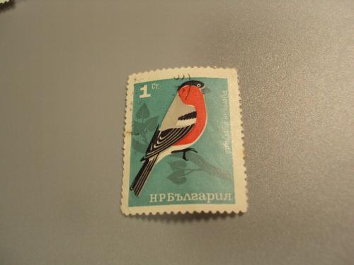 марка Болгария 1965 фауна птичка птица гаш №1645