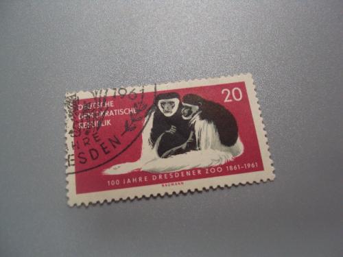 марка Германия ГДР 1961 зоопарк 100 лет обезъяны животные гаш №1973