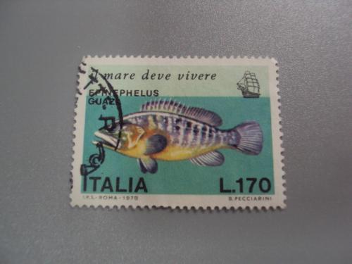 марка Италия 1978 рыба рыболовство гаш №2737
