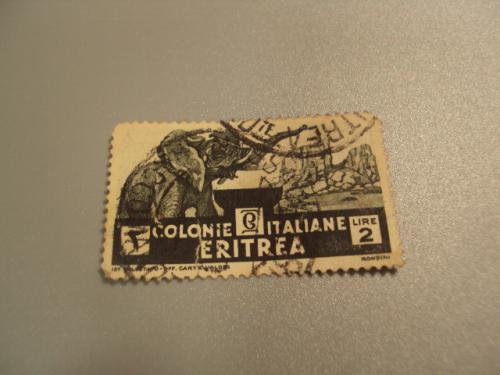 марка Италия колония Эритрея 1933 слон фауна гаш №1806