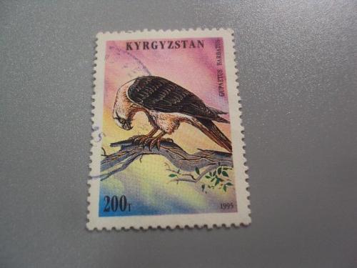 марка Киргизстан 1995 Киргизия фауна орел птица Кыргызстан гаш №3565