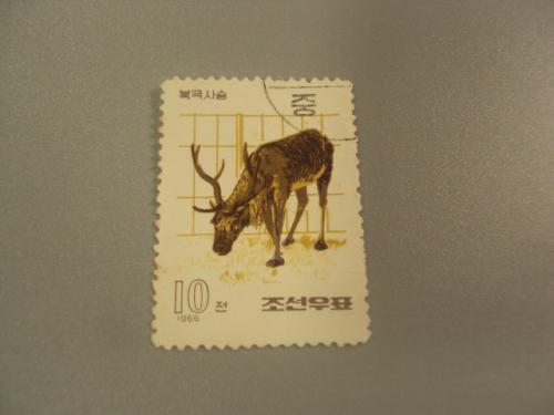 марка Северная Корея КНДР 1966 олень лось фауна животные гаш №1563