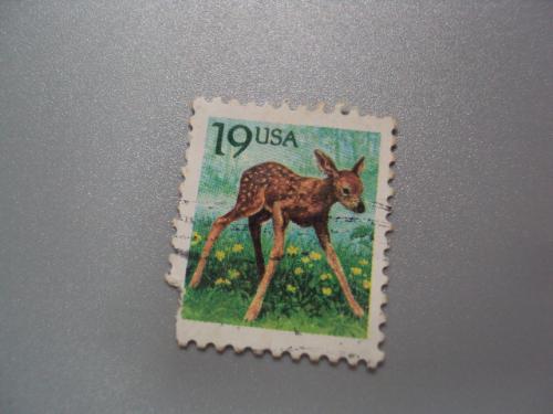 марка США 1991 фауна животные олень олененок Бемби гаш №2426