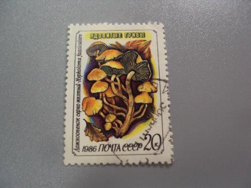 марка СССР 1986 ядовитые грибы ложноопенок серно-желтый гаш №3526