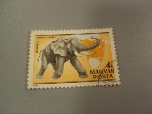 марка Венгрия Magyar 1981 африканский слон гаш №1555