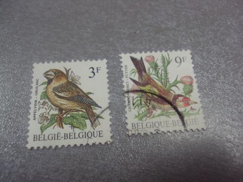 марки Бельгия 1985 птицы Щегол европейский лот 2 шт гаш №59