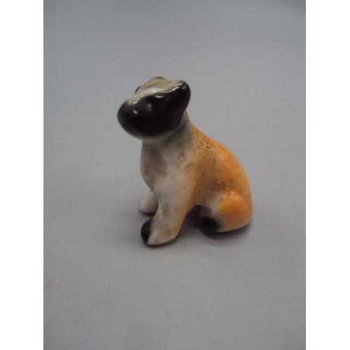 Фигура фарфор статуэтка миниатюра Германия собака щенок собачка бульдог высота 3,1 см №35