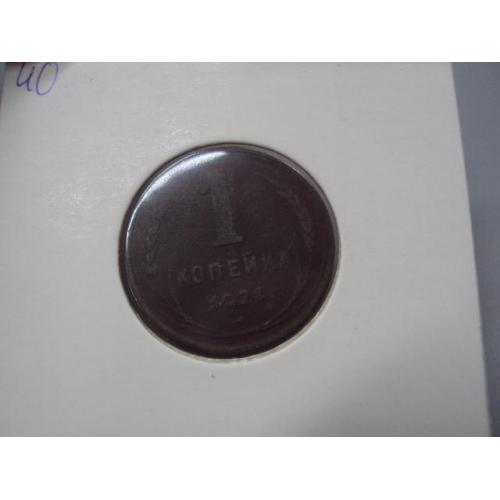 Монета ссср 1 копейка 1924 год №18950