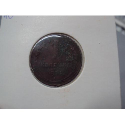 Монета ссср 1 копейка 1924 год №18952