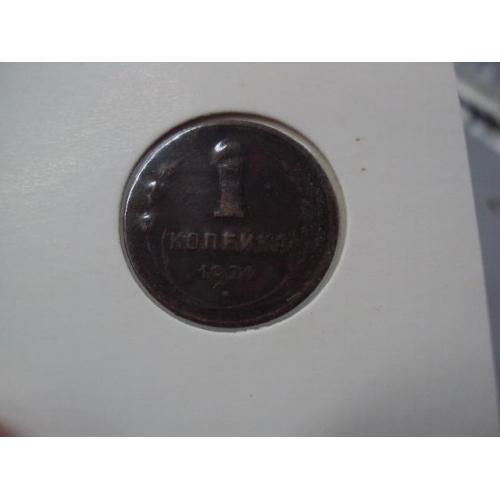 Монета ссср 1 копейка 1924 год №18954