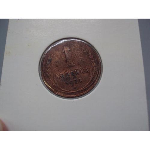 Монета ссср 1 копейка 1924 год №18955