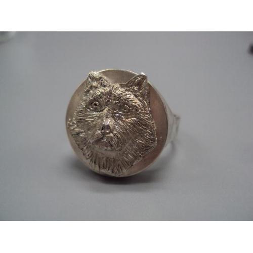 Мужское кольцо перстень печатка Волк оборотень серебро 925 проба вес 31,35 г 23 размер новое №14413