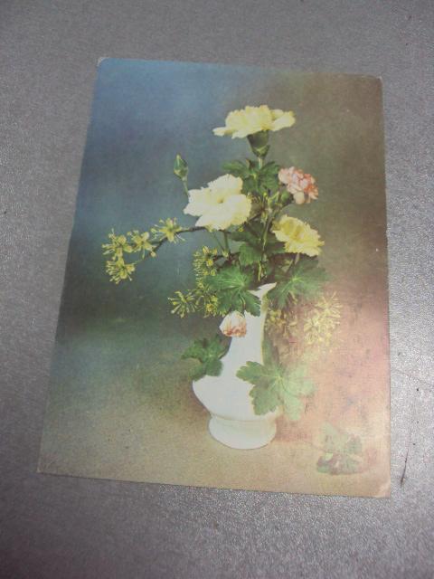 открытка болгария цветы №961