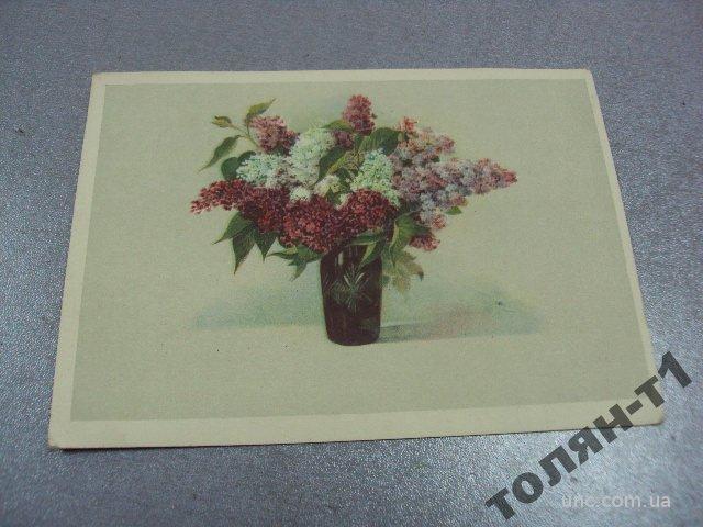 открытка цветы сирень 1957 №7661