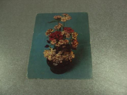 открытка цветы 1984 фото савалова №6330