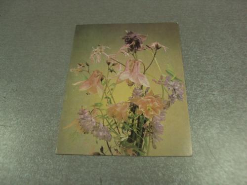 открытка цветы 1989 фото стэйнерта №6328