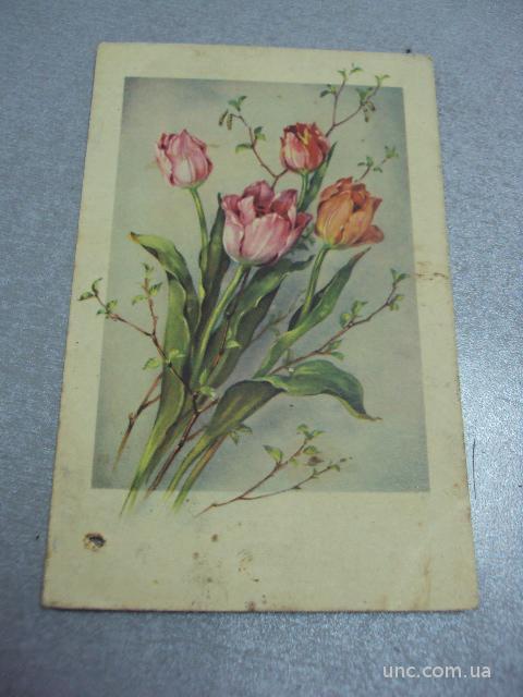 открытка цветы букет тюльпанов №3339