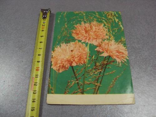 открытка цветы кропивницкого 1972 №1637