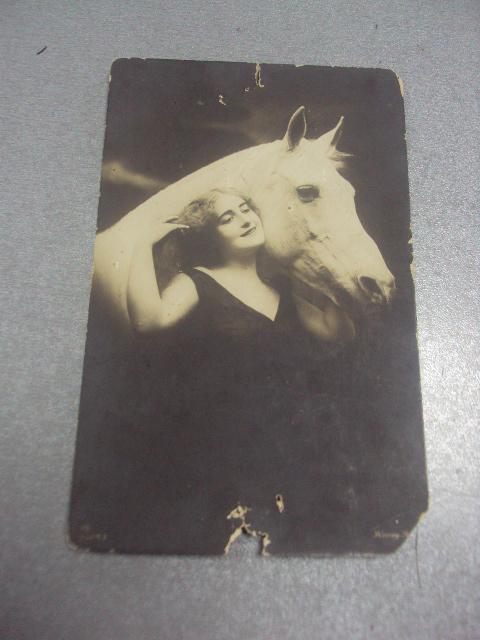 открытка девушка с конем павловск севастополь 1914 №1489