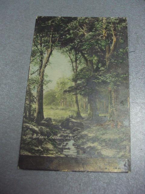 открытка  фарбах дубовый лес №1375