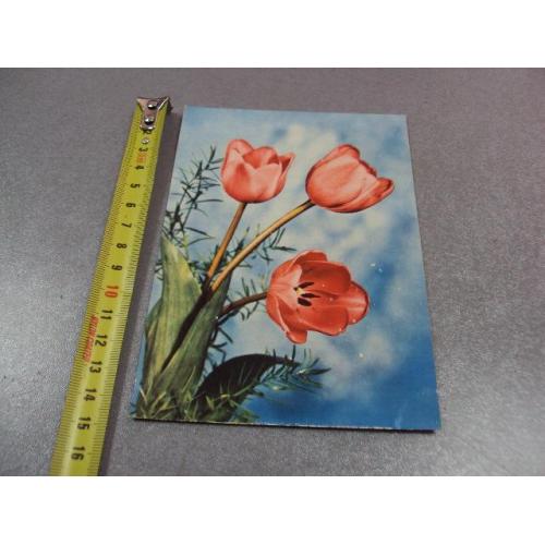 открытка германия букет тюльпаны 1964 №11010