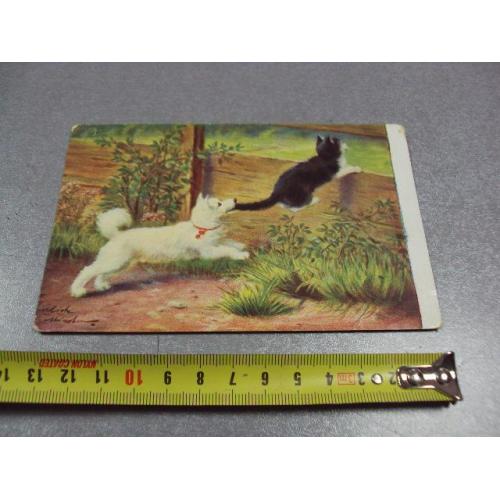 открытка германия котенок щенок марка венгрия №2336