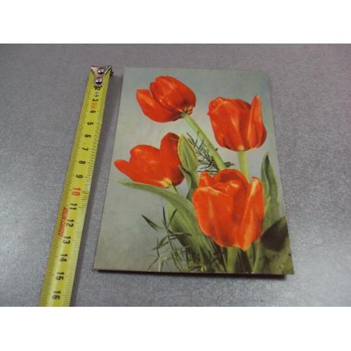 открытка германия тюльпаны 1964 №11016