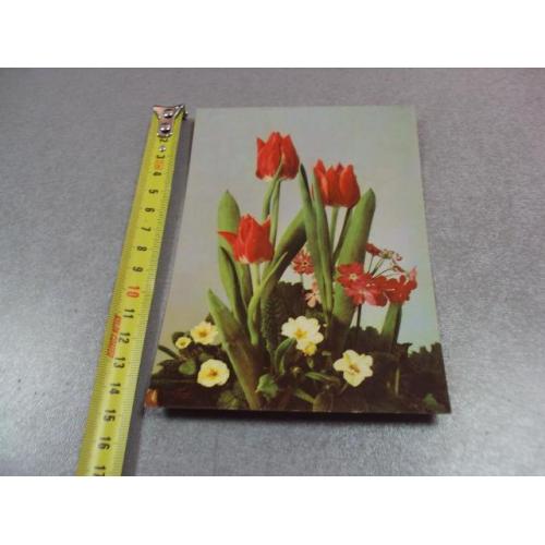открытка германия тюльпаны 1964 №11017