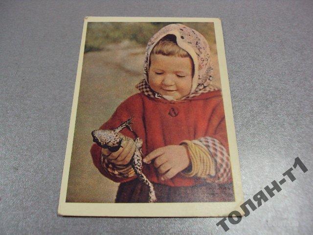 открытка юный натуралист гипеннрейтер 1958 №7583