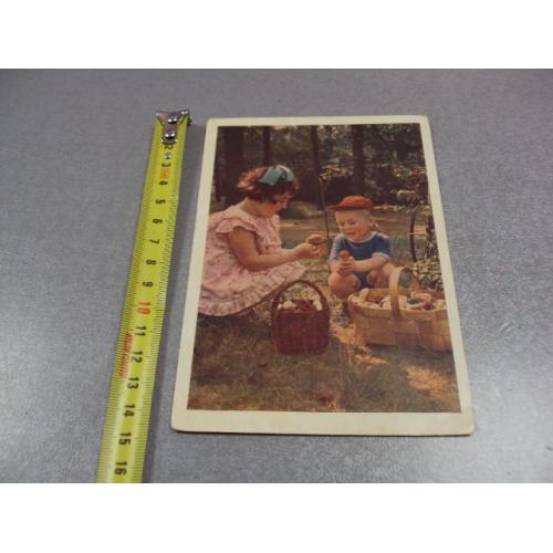 открытка грибники 1957 становова №11090