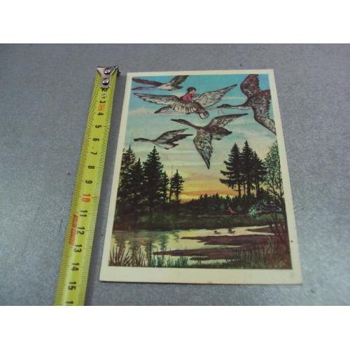 открытка гуси-лебеди васнецов 1958 №12331