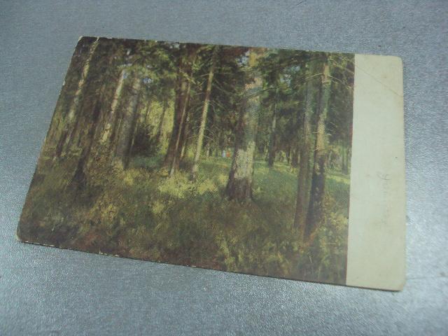 открытка хаимов лесопарк №583